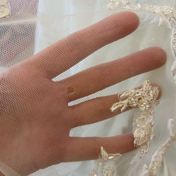 Oleg Cassini Collection David’s Bridal Ivory Lace Wedding Gown Sz 10 - Picture 16 of 16